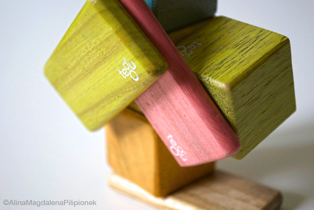 Tegu1